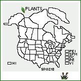 Distribution of Sporobolus microspermus (Lag.) Hitchc.. . 