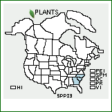 Distribution of Sporobolus pinetorum A. Weakley & P.M. Peterson. . 