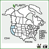 Distribution of Phalaris californica Hook. & Arn.. . Image Available. 