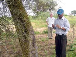 Man standing in field