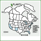 Distribution of Schoenoplectus ×contortus (Eames) S.G. Sm. [americanus × pungens]. . 