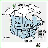 Distribution of Schoenoplectus pungens (Vahl) Palla. . 