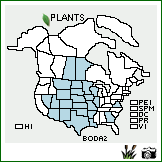 Distribution of Bouteloua dactyloides (Nutt.) J.T. Columbus. . Image Available. 