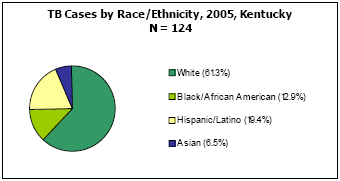 TB Cases by Race/Ethnicity, 2005, Kentucky  N=124  White - 61.3%, Black/African American - 12.9%, Hispanic/Latino - 19.4%, Asian - 6.5%