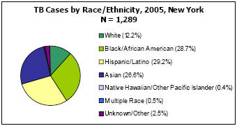 TB Cases by Race/Ethnicity, 2005, New York  N = 1,289 White - 12.2%, Black/African American - 28.7%, Hispanic/Latino - 29.2%, Asian - 26.6%, Native Hawaiian/Other Pacific Islander - 0.4%, Multiple Race - 0.5%, Unkown/Other - 2.5%