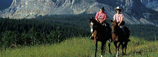 visitors with horses on the trail