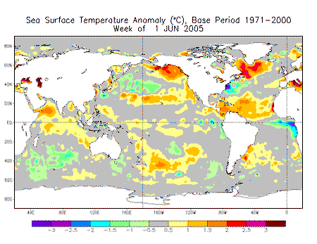 Current Month's SST map
