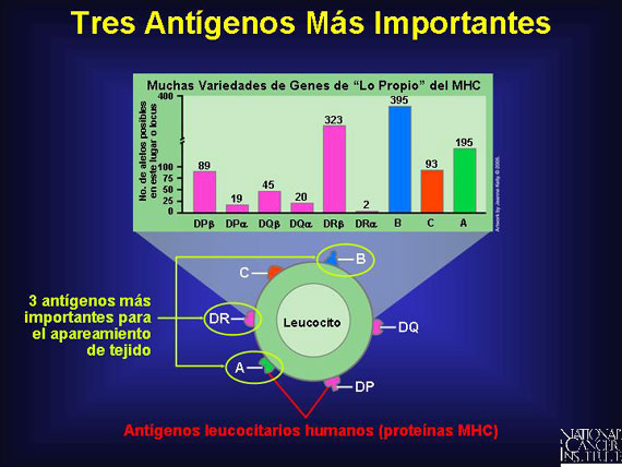 Tres Antígenos Más Importantes