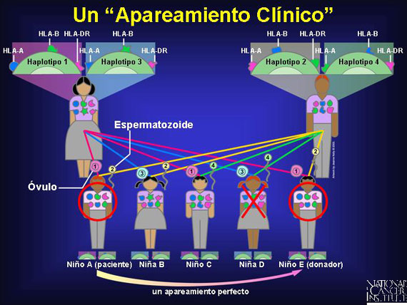 Un 'Apareamiento Clínico'