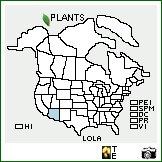 Distribution of Lobelia laxiflora Kunth. . Image Available. 