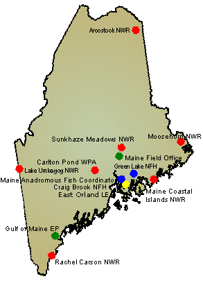 Map of Maine /