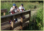 [Photograph]: People in wheelchairs 
	  enjoying wildlife viewing.