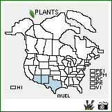 Distribution of Muhlenbergia eludens C.G. Reeder. . Image Available. 