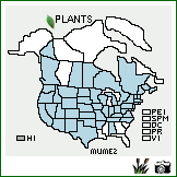 Distribution of Muhlenbergia mexicana (L.) Trin.. . Image Available. 