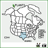 Distribution of Muhlenbergia reverchonii Vasey & Scribn.. . Image Available. 