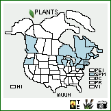 Distribution of Muhlenbergia uniflora (Muhl.) Fernald. . Image Available. 