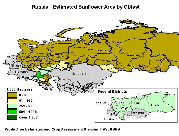 Most sunflowers in Russia are planted in the Southern District and the lower Volga Valley. 