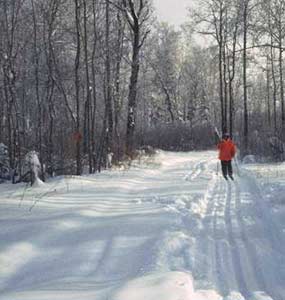 Cross-country skiing