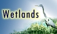 Wetlands