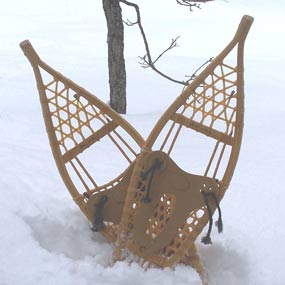 Snowshoes