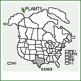 Distribution of Digitaria aequiglumis (Hack. & Arechav.) Parodi, nom. inq.. . 