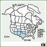 Distribution of Digitaria californica (Benth.) Henr.. . Image Available. 