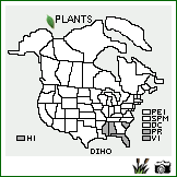 Distribution of Digitaria horizontalis Willd.. . Image Available. 