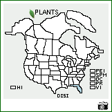 Distribution of Digitaria simpsonii (Vasey) Fernald. . Image Available. 