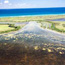 Prop scars in Mosquito Lagoon