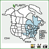 Distribution of Panicum gattingeri Nash. . Image Available. 