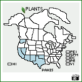 Distribution of Panicum hirticaule J. Presl. . Image Available. 