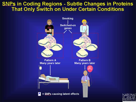 SNPs in Coding Regions - Subtle Changes in Proteins That Only Switch on Under Certain Conditions