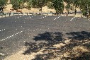 Interactive image:  Photo - Oak Knoll parking; click for larger photo