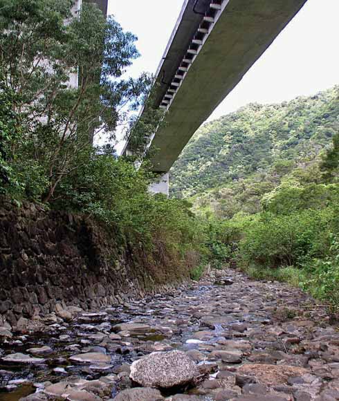 photo looking up at a highway bridge; the photographer was standing at the shore of the rocky streambed