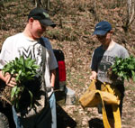 Two boys holding handfuls of plants.