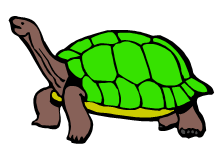 turtle