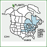 Distribution of Quercus ×bebbiana C.K. Schneid. [alba × macrocarpa]. . 