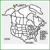 Distribution of Rosa obtusiuscula Rydb., nom. inq.. . 