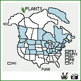 Distribution of Juncus gerardii Loisel.. . Image Available. 