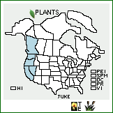 Distribution of Juncus kelloggii Engelm.. . 