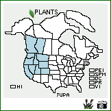 Distribution of Juncus parryi Engelm.. . Image Available. 