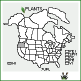 Distribution of Juncus planifolius R. Br.. . 