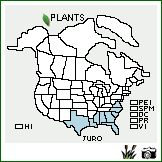 Distribution of Juncus roemerianus Scheele. . Image Available. 