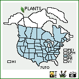 Distribution of Juncus torreyi Coville. . Image Available. 