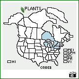 Distribution of Crataegus beata Sarg.. . Image Available. 