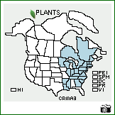 Distribution of Crataegus macrosperma Ashe. . Image Available. 