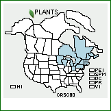 Distribution of Crataegus scabrida Sarg.. . 