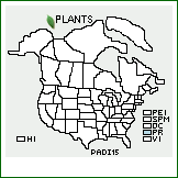 Distribution of Paspalum dispar Chase. . 