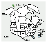 Distribution of Opuntia ×cubensis Britton & Rose [stricta × triacantha]. . 