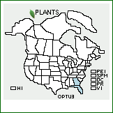 Distribution of Opuntia turbinata Small. . 